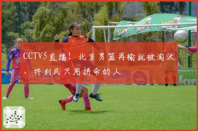 CCTV5直播!北京男篮再输就被淘汰,许利民只用拼命的人