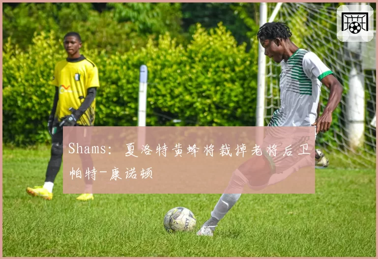 Shams：夏洛特黄蜂将裁掉老将后卫帕特-康诺顿
