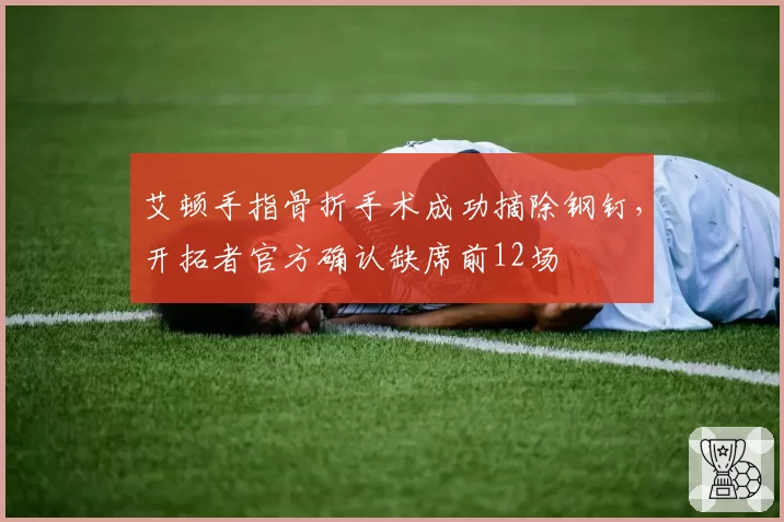 艾顿手指骨折手术成功摘除钢钉，开拓者官方确认缺席前12场